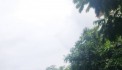 BÁN OTO VÀO NHÀ NGÕ TO HƠN PHỐ VŨ XUÂN THIỀU QUẬN LONG BIÊN